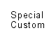 special custom focusing screen